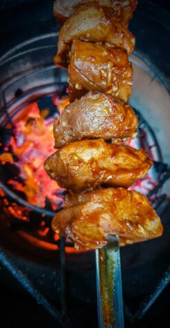 Churrasco Forged Spies V-vorm 50cm -Bialettited Winkel image 1126