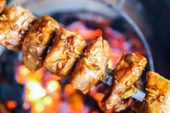 Churrasco Forged Spies V-vorm 50cm -Bialettited Winkel image 1129